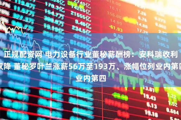 正规配资网 电力设备行业董秘薪酬榜：安科瑞收利双降 董秘罗叶兰涨薪56万至193万、涨幅位列业内第四