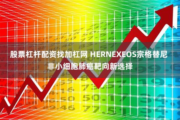 股票杠杆配资找加杠网 HERNEXEOS宗格替尼 非小细胞肺癌靶向新选择